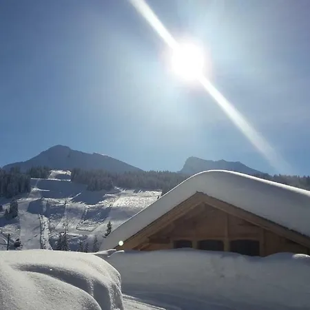 Chalet Chalet-spa Sur Les Pistes 16 Personnes Manigod
