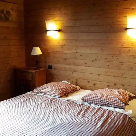 Chalet Chalet-spa Sur Les Pistes 16 Personnes *