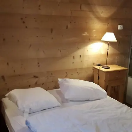 Chalet-spa Sur Les Pistes 16 Personnes *