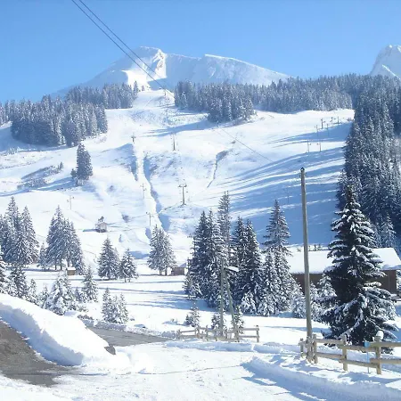 Chalet-spa Sur Les Pistes 16 Personnes