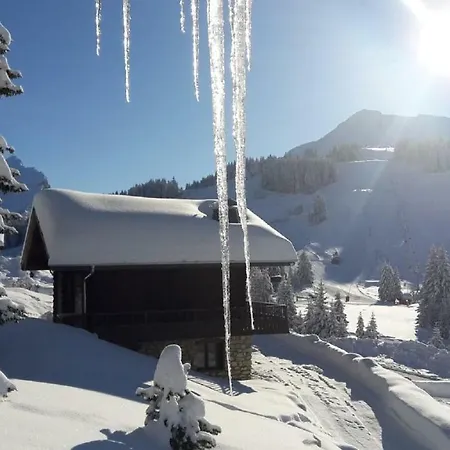 Chalet Chalet-spa Sur Les Pistes 16 Personnes *